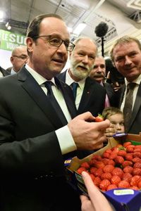L'agriculture en désargence...