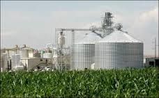 L'agriculture en désargence...