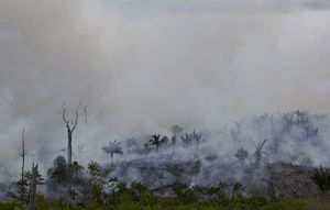 Nos frères Awá en danger de mort…