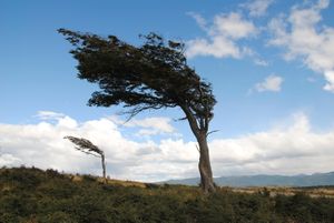 Qui sème le vent récolte la tempête…