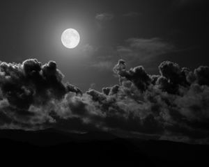 La nuit, tous les ivrognes sont gris.