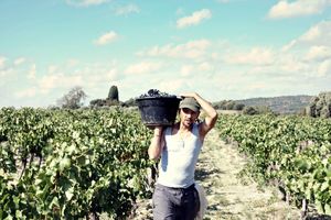 Crédit Photos : Domaine les Patys, E. ferre