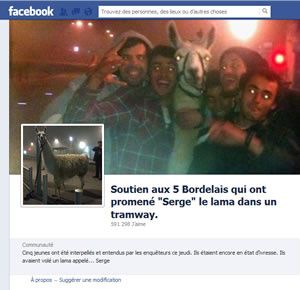 Un lama et ça repart !