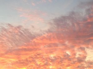 La fée Toupie et le ciel rose