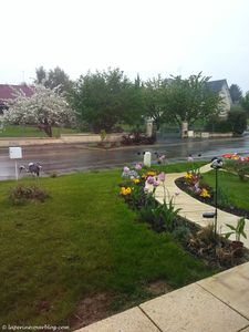 Un 8 Mai pluvieux