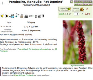 Courson 2/2 - Mes achats