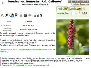 Courson 2/2 - Mes achats