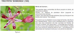 Courson 2/2 - Mes achats