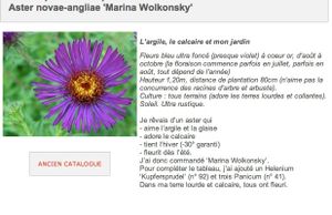 Courson 2/2 - Mes achats