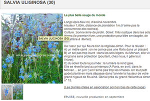Courson 2/2 - Mes achats