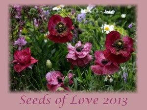 SEEDS OF LOVE