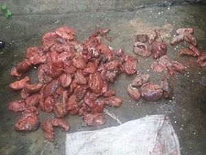 GABON : Quand le pouvoir tente de manipuler les consciences dans l'affaire du sac d'organes humains