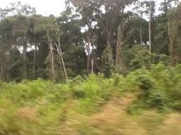 Les gabonais attendent toujours l'aéroport international d'Andem et la base SOGATRA de Bikélé oh !