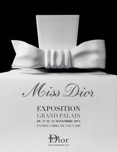 Paris en rose pour Noel 2013...
