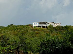 La fondation Clément..des accras et du shrub!