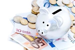 LE BONUS DU PLAN D'EPARGNE ENTREPRISE