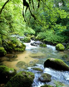 L'albarine (1): la cascade de la Charabotte.