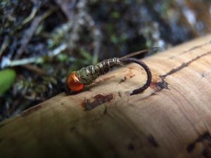 Petite sortie sur "la Cure"......pensée Corrézienne!!!!