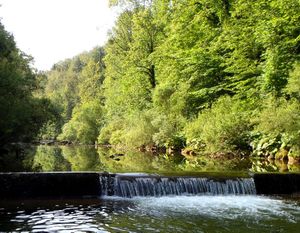 Retrouvailles dans le Jura!!!!.....