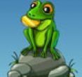 Frog Dares