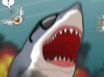 Sydney Shark