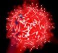 Nuclearoids
