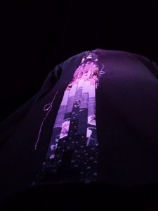 Variations de violets