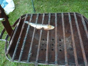 "les Sardines grillées" de JC Danaud