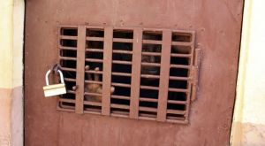 Passations de charges à la prison civile de Cotonou: Un nouveau régisseur et gardien chef pour les détenus