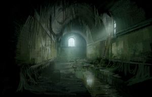 9 — Les sous-sols de la Cathédrale