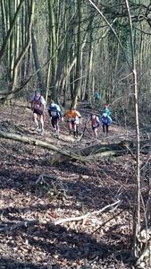 Trail des 7 Mares...beau cru 2015