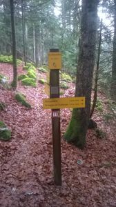 Retour sur le Raidlight Winter Trail 2016 !