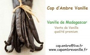 CAP D'AMBRE VANILLE