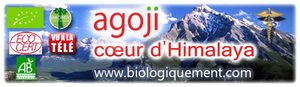 mon nouveau partenaire Agoji