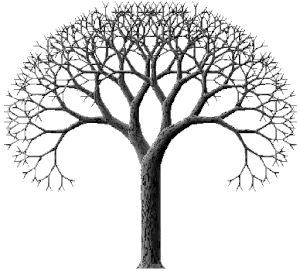 Petit aperçu arbres binaires de recherches