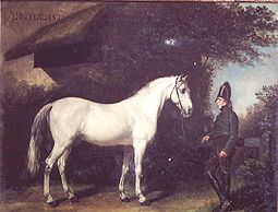 LE CHEVAL DE NAPOLEON ...
