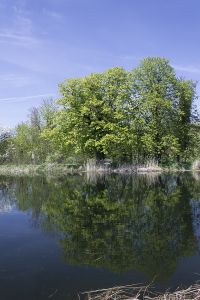 De la méthode empirique sur Photoshop