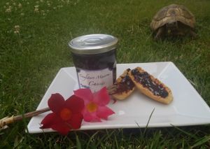 Confiture de cassis
