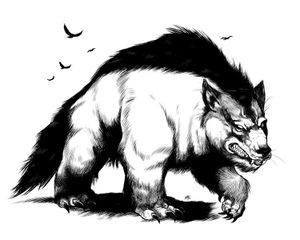 Amarok (tradition inuit)