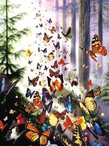 Les papillons