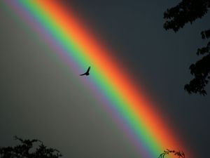 L'arc-en-ciel