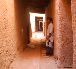 Les Arabes du Maghreb sont-ils des Berbères ?