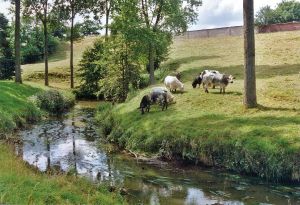 Au mois d'avril, promenons-nous dans les bois, dans les champs et... sur les anciennes lignes de chemin de fer