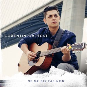 Corentin Grevost, le vainqueur de "Rising Star" sur M6, sortira son premier album début 2016 !