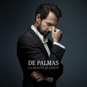 De Palmas : son nouvel album "La beauté du geste" sortira en Avril 2016 !