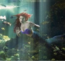 "Fifty shades of green" pour un poisson d'Avril. *