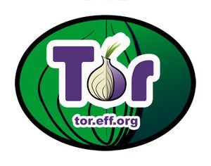 TOR: Plus de 400 sites illégaux fermés et 17 personnes arretés