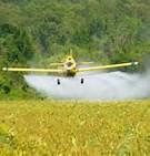 Monsanto et son monde
