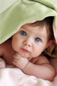 Un petit coucou !
