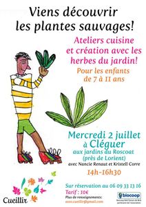 Les enfants sont venus découvrir les herbes sauvages...